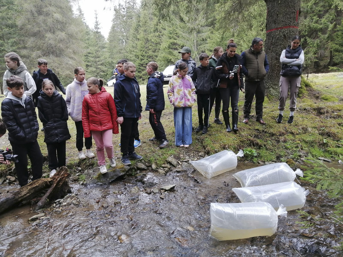 Pisztrángot telepítettek a kis horgászok